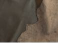 both sides of brown goat skin leather hide thumbnail image.
