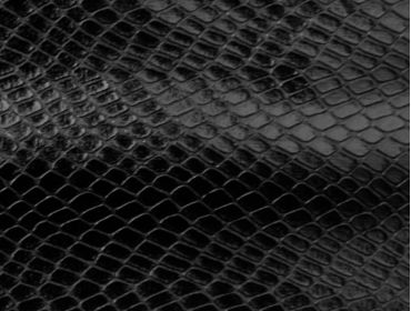 Closeup shot of black snakeskin fabric.
