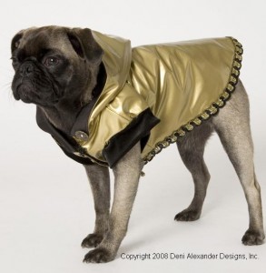 dog vinyl rain jacket