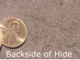 backside of brown leather cow hide thumbnail image.