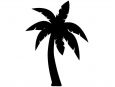 palm tree beach cosplay thumbnail image.