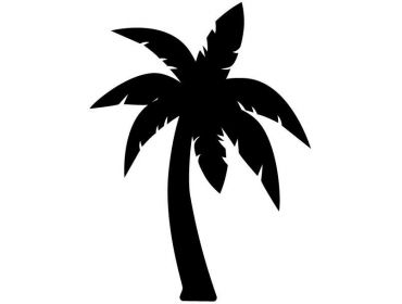 palm tree beach cosplay