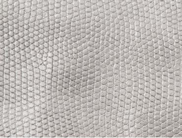 Metallic silver snakeskin fabric.