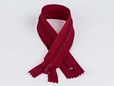 10 inch burgundy red non-separating nylon zipper. thumbnail image.