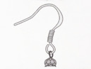 Fish Hook earring wire