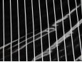 black white pinstripe vinyl fabric thumbnail image.