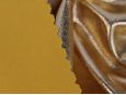 metallic gold spandex foil lame stretch fabric thumbnail image.